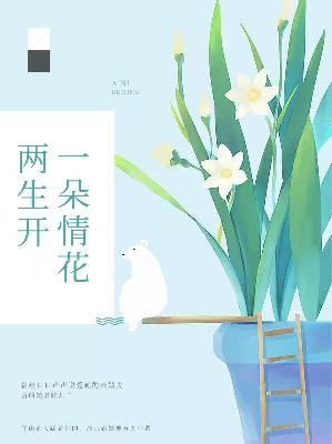 【主角顾安然叶司承】一朵情花两生开txt全集阅读