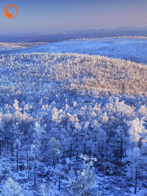 五，六十年代我在东北上山下海全文免费完整版阅读_冒烟雪西北风_五，六十年代我在东北上山下海最新章节更新全集