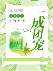 福宝穿书成团宠全文免费完整版阅读_羊咩咩888_福宝穿书成团宠最新章节更新全集