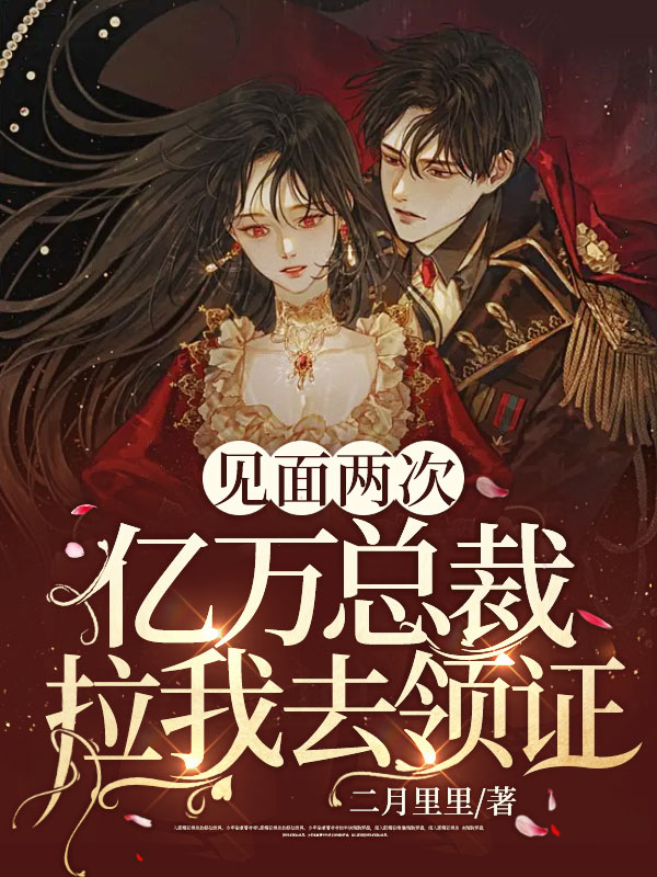 见面两次，亿万总裁拉我去领证全文免费完整版阅读_叶笙笙_见面两次，亿万总裁拉我去领证最新章节更新全集