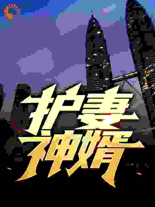 护妻神婿全文免费完整版阅读_三七的七_护妻神婿最新章节更新全集