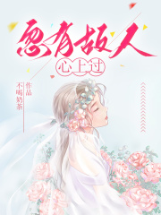 忽有故人心上过全文免费完整版阅读_付晚虞宋暮声_忽有故人心上过最新章节更新全集