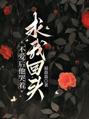 不爱后他哭着求我回头全文免费完整版阅读_傅经年,陆子安_不爱后他哭着求我回头最新章节更新全集