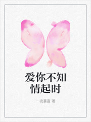 爱你不知情起时全文免费完整版阅读_叶轻,陆景淮_爱你不知情起时最新章节更新全集