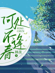 何处不逢春全文免费完整版阅读_盛晚江煜_何处不逢春最新章节更新全集
