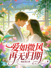 爱如微风，再无归期全文免费完整版阅读_舒艺贺骏辰_爱如微风，再无归期最新章节更新全集
