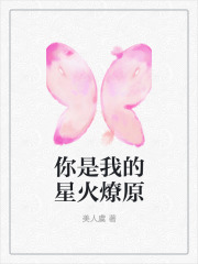 你是我的星火燎原全文免费完整版阅读_乔楚,沈凌寒_你是我的星火燎原最新章节更新全集