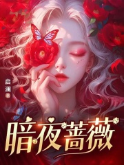 暗夜蔷薇全文免费完整版阅读_白思蕊,林无忧_暗夜蔷薇最新章节更新全集