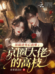 怀了京圈大佬的崽后，我失忆了全文免费完整版阅读_宋乔谢宴礼_怀了京圈大佬的崽后，我失忆了最新章节更新全集